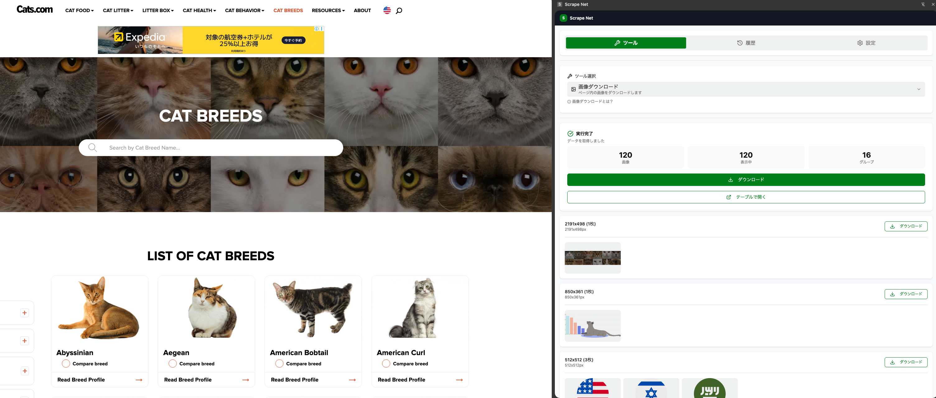 Scrape Net screenshot 3 - Web scraping interface